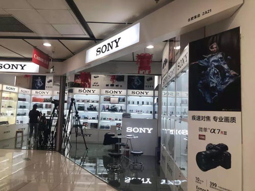 夏日激情背后的財務(wù)智慧 為何我們敢于在酷暑中“浪”